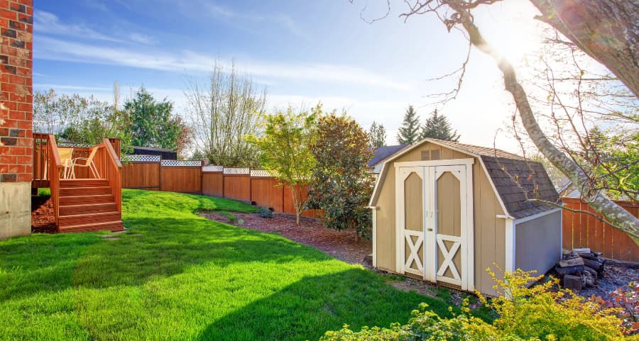 Fenced backyard with storage shed in McAllen